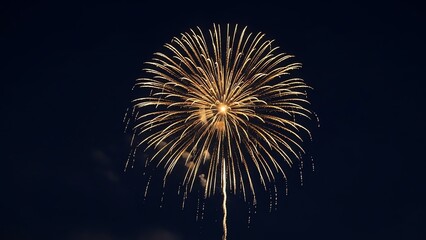 Fototapeta premium Fireworks display against dark night sky