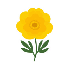 Simple_flat_2D_icon_buttercup_flower_isolated_on_a_white, Vector, eps, flat design, animation design, simple flat 2D icon, minimalist design, clipart, illustration.