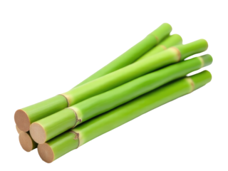 A collection of green bamboo sticks lying flat on a white background