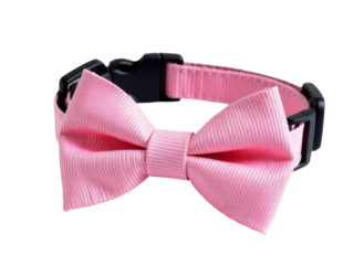 A pink bow tie collar with a black buckle, perfect for formal events or fashion photography