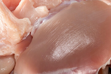 Fototapeta premium Uncooked Chicken Fillets