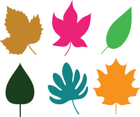 Collection of colorful autumn leaf silhouettes simple flat vector illustrations for seasonal design isolated on white background