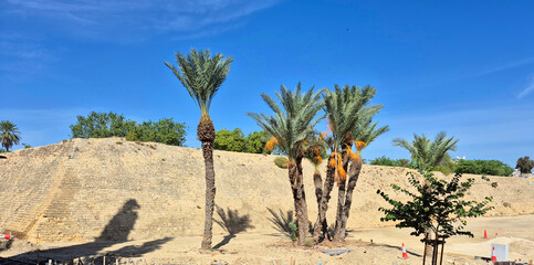 Walls of Nicosia, also known as the Venetian Walls, are a series of defensive walls which surround Nicosia, the capital city of Cyprus. The first city walls were built in the Middle Ages