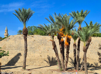 Walls of Nicosia, also known as the Venetian Walls, are a series of defensive walls which surround Nicosia, the capital city of Cyprus. The first city walls were built in the Middle Ages