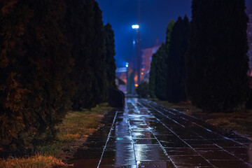 Wet paved path in a lonely city park reflects. The distant streetlights on a dark, rainy night, suggesting a solitary walk. Perfect for design projects. Selective focus.