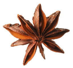 Dry anise star with seeds isolated on white