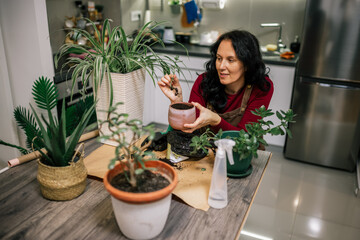 Woman Transplanting Houseplant at Home