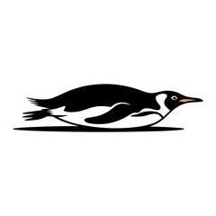 Obraz premium Penguin Sliding on Belly