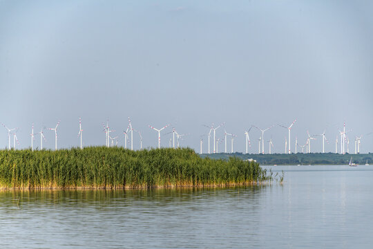 Schilf und Windr&auml;der am Neusiedler See