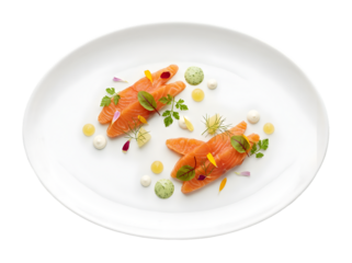 Exquisite Culinary Presentation of Salmon Fillet with Garnishes on a Minimalist Plate