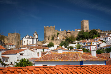 Explore Obidos medieval castle and charming rooftops in Portugal