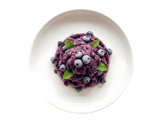 Delicious Blueberry Sorbet Served in a White Bowl with Fresh Blueberries and Mint Garnish