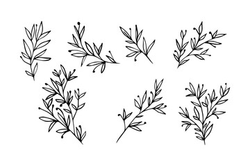 Set of  Hand Drawn Botanical Sprigs. Minimalist Vector Leafy Branches and Berries Line Art Collection