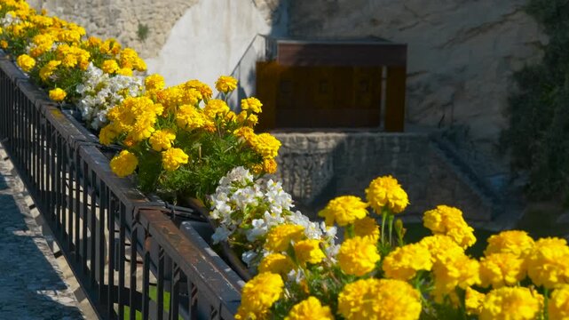 Yellow and white flowers adorning a metal railing with stone wall background. Vibrant yellow and white blossoms flourishing in rectangular planter along metal railing, with stone wall