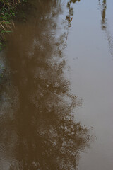 Water in a drainage ditch