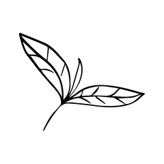 Hand Drawn Minimalist Botanical Sprig. Vector Line Art Branch with Leaves