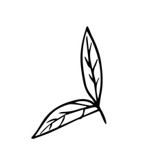 Hand Drawn Minimalist Botanical Sprig. Vector Line Art Branch with Leaves