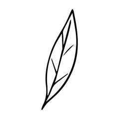 Hand Drawn Minimalist Botanical Sprig. Vector Line Art Branch with Leaves