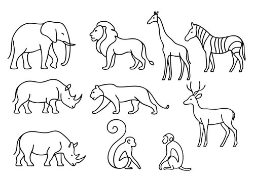 One Line Wild Animals Vector Collection &mdash; Minimal Continuous Line Art

