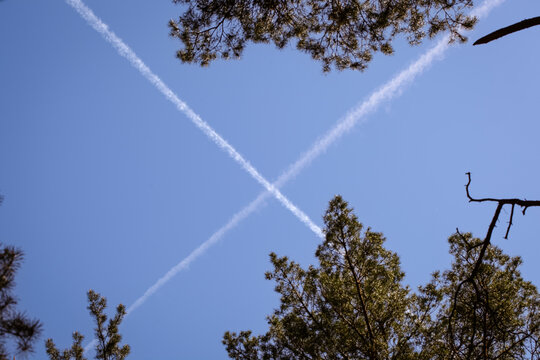 Crossed Airplane Contrails in Blue Sky Above Trees
 - Powered by Adobe