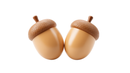 Acorn Duo: Capturing the beauty of nature, two perfect acorns sit in a natural, balanced composition. Revealing the organic detail, it tells a tale of growth and natural beauty.