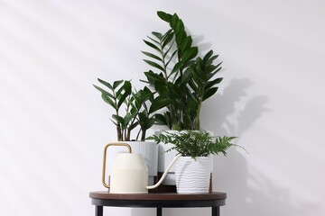Different green houseplants and watering can on wooden table near white wall indoors