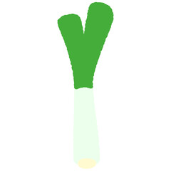 手書き風の単品アイコンイラスト　野菜　ネギ