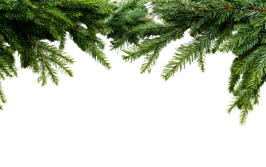 Elegant evergreen branches create a festive Christmas border ready to add your holiday message or winter greeting card design