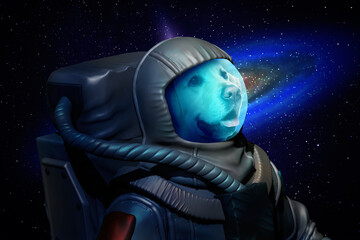 Dog astronaut wearing special suit in space