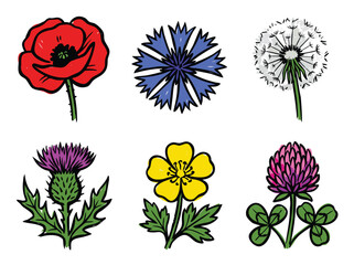 Collection of six hand-drawn wild flowers, including poppy, cornflower, dandelion, thistle, buttercup, and clover.