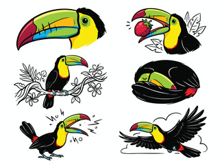 Obraz premium Collection of Toucan Illustrations in Various Poses and Activities.
