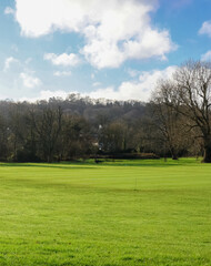 Fototapeta premium Lush green meadow with striped lawn and distant forest under a bright blue cloudy sky, reflecting nature and outdoor beauty