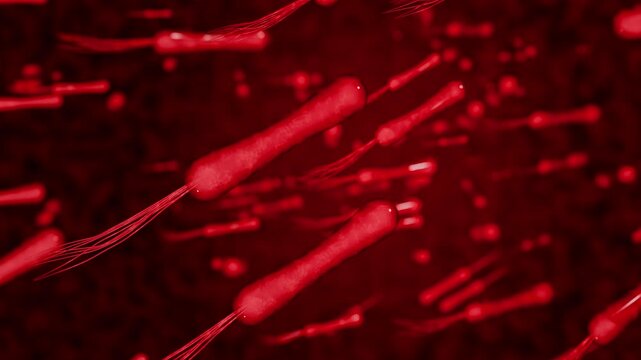 Helicobacter pylori bacteria affecting gastric mucosa causing stomach pain ulcer inflammation and digestive disorders medical science background 3D Rendering
