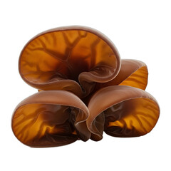 Realistic wood ear mushrooms, brown jelly fungi, sharply focused with high detail, soft lighting, isolated on transparent background. Perfect for food blogs, healthy recipes, nature themes,