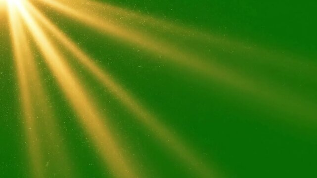 Soft focus light rays illuminating misty morning atmosphere with subtle light rays filtering through effect green screen light beams