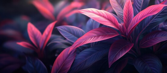 Obraz premium Pink & purple leaves, garden background, nature wallpaper