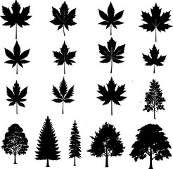 A vector collection of black tree silhouettes including pine, palm, oak, and birch in a natural forest style