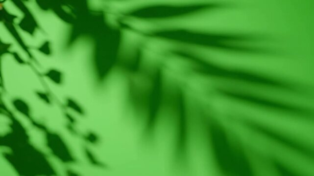 Moonlight illuminating foggy landscape with subtle soft shadow moving gently effect green screen soft shadows style featuring nature,