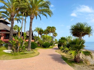 footpath near Estepona and along the coastline of the Mediterranean Sea with many palms and tropical plants, Senda Litoral, Malaga, Costa del Sol, Andalusia, Spain