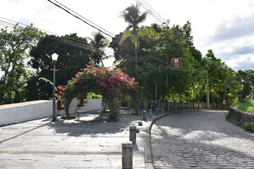 olinda - pernambuco