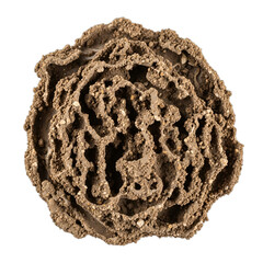 Realistic termite mound material, cemented soil, isolated on transparent background, high detail top-down for science education, biology exhibits, geological studies, or Earth Day designs.