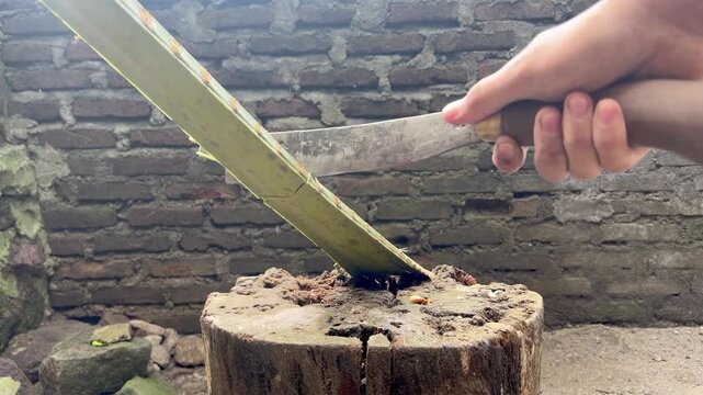 a machete used to cut coconut palms