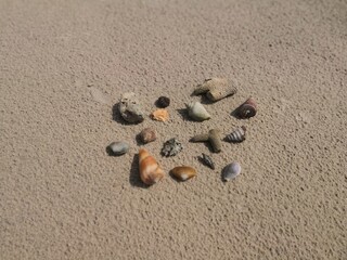 A close-up, top-down shot of a collection of natural seashells and weathered coral fragments resting on fine-textured beach sand.