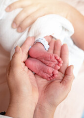 Close up of newborn baby feet on female hands
