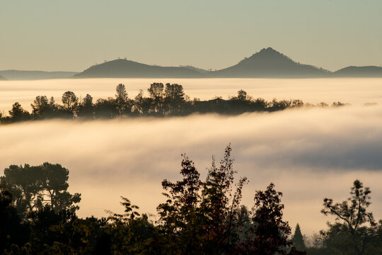Tule fog in Napa County
