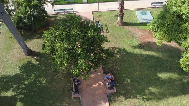 M&eacute;rida, Yucat&aacute;n, Mexico, December 2025. Aerial drone footage showing people sitting on benches and talking under a tree in a public park, illustrating everyday urban life, leisure, and community inter