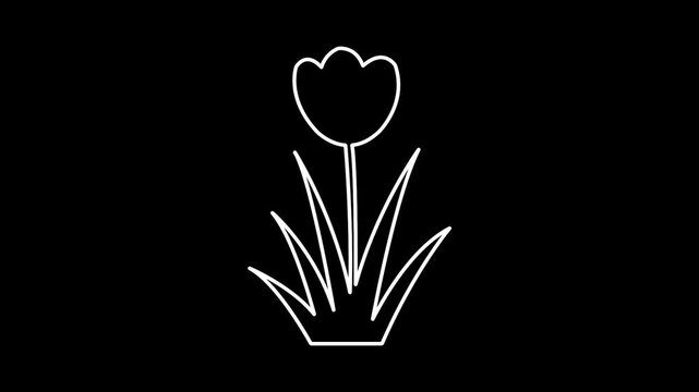 a tulip flower Simple black silhouette of with leaves