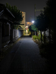 住宅街を通る夜の道