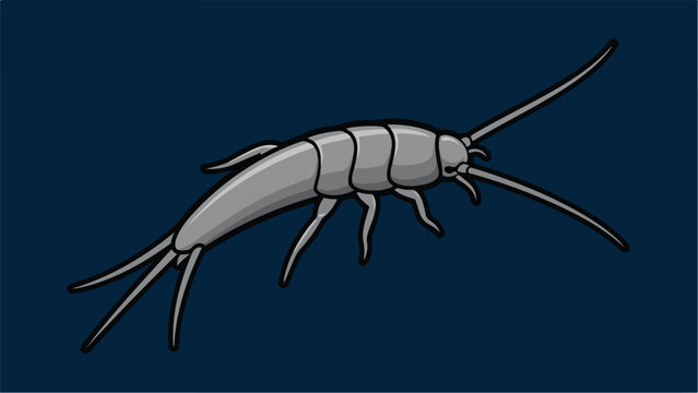 Silverfish Insect Pest Illustration on Dark Background.