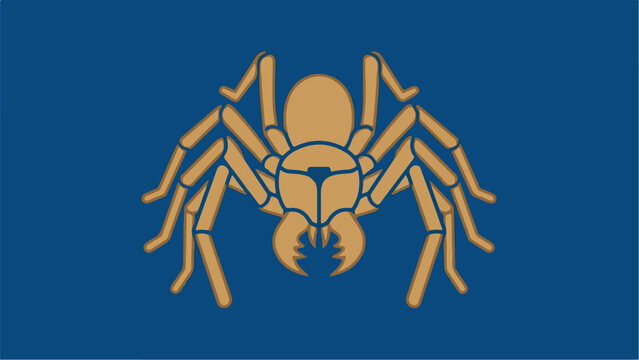 Solifugae spider on a blue background.